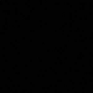 Meet your Posher, Micaela